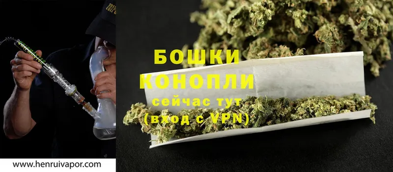 Конопля White Widow  продажа наркотиков  Майкоп 